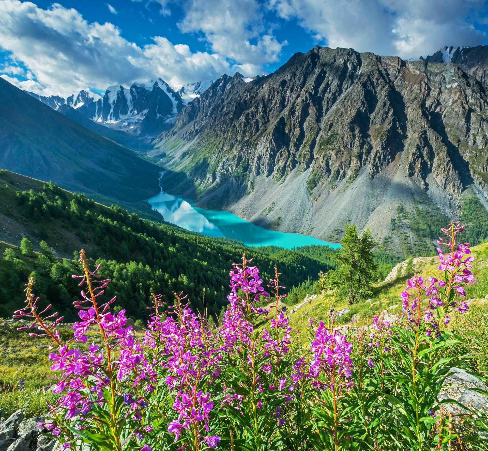 Altai mountains and forests